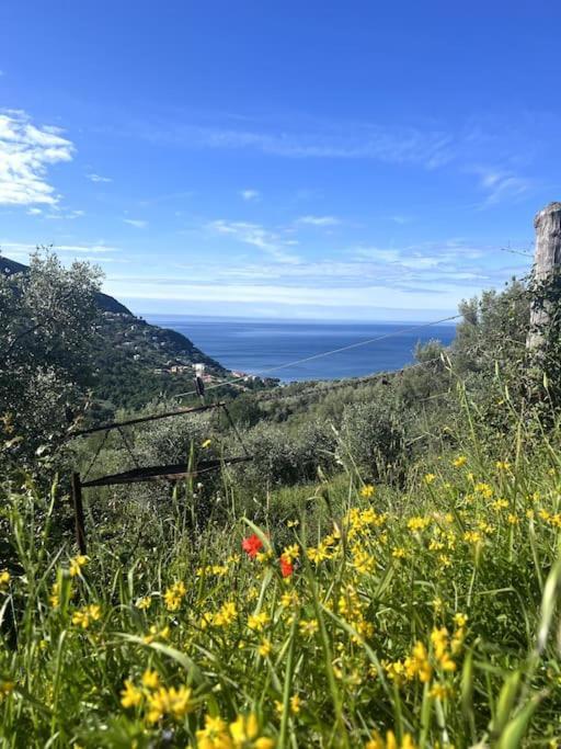 Olivetta House Holiday Moneglia Exterior foto